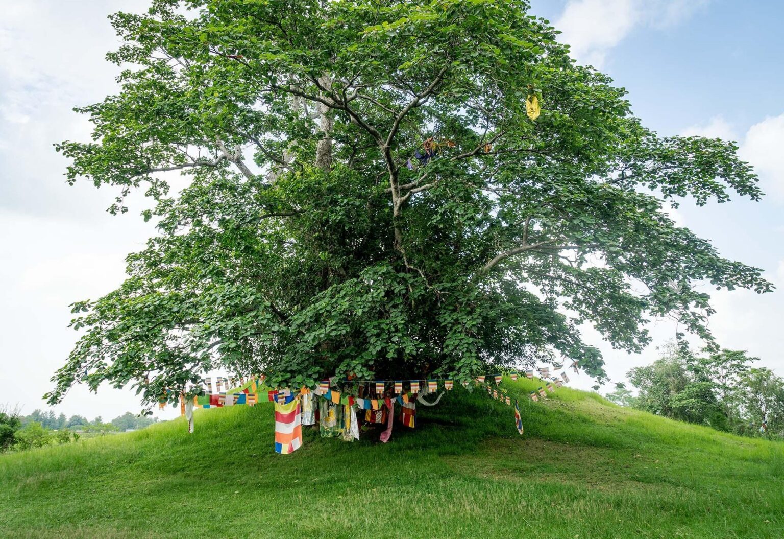पश्चिम नवलपरासीको रामग्राममा बुद्धकालीन सहरको संरचना भेटिएको दाबी