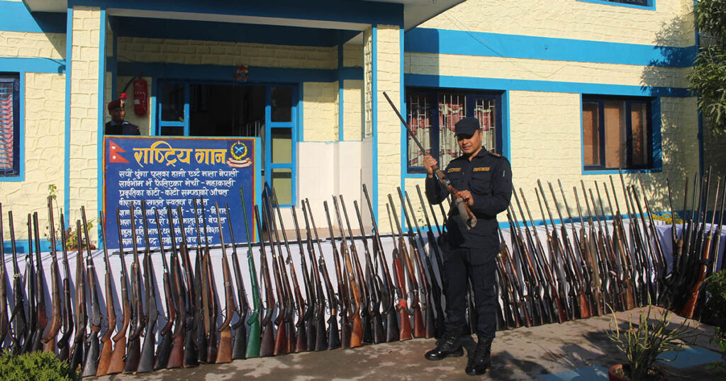 ‘अप्रेसन ब्राभो सेरा’ अभियानबाट एक महिनामै म्याग्दीवाट ११५ थान अवैध भरुवा बन्दुक बरामद