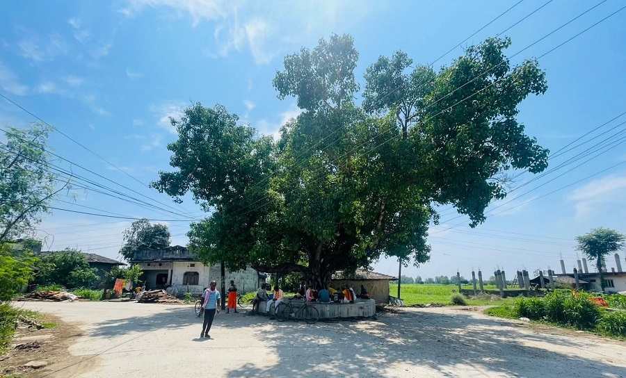 अत्यधिक गर्मीले मधेशको जनजीवन प्रभावित