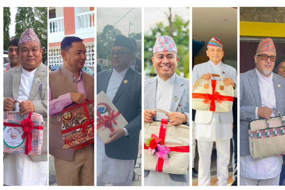 सङ्घकै अनुदानमा प्रदेशको जग स् योजना कर्णप्रिय, आम्दानी नाजुक