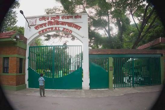 बर्ड फ्लु निर्मूल भएपछि आजदेखि खुल्यो चिडियाखाना