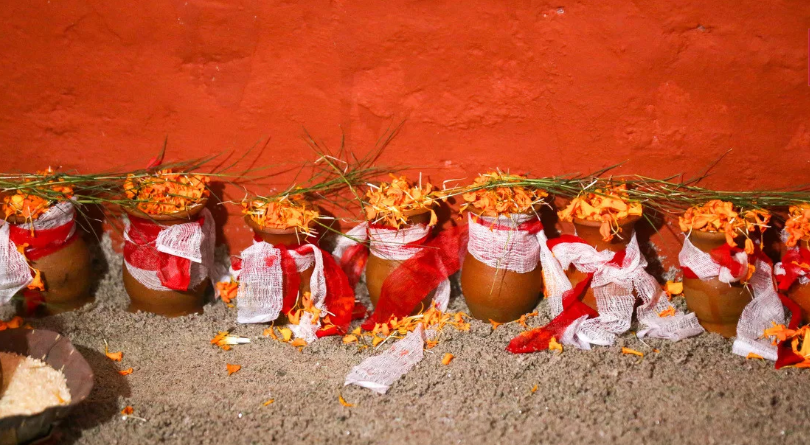 हनुमानढोकाको दसैँघरमा राखियो जमरा