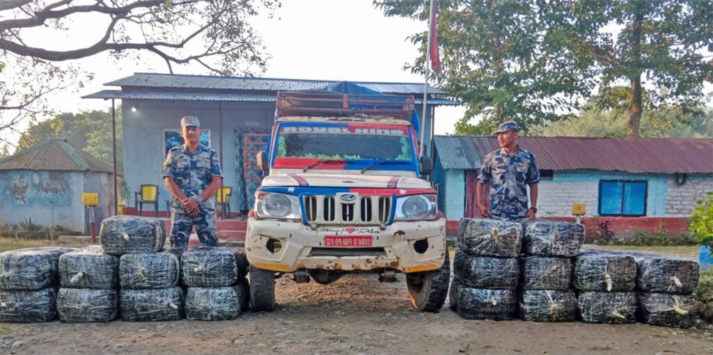 मोरङमा तरकारी बोकेको गाडीबाट ५७० किलो गाँजा बरामद